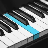 Real Piano keyboard elektronik