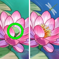 Find Zen: game cari perbedaan