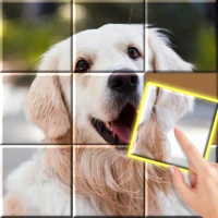 Jigsaw Sort: Kids Game, Puzzle