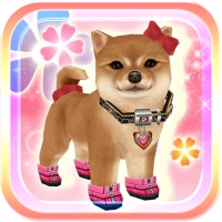 My Dog My Style